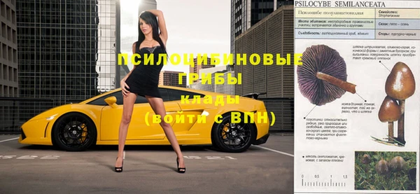 стаф Богданович