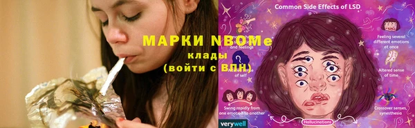 прущие грибы Алексин