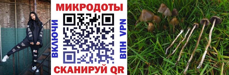 Галлюциногенные грибы GOLDEN TEACHER  Козьмодемьянск 
